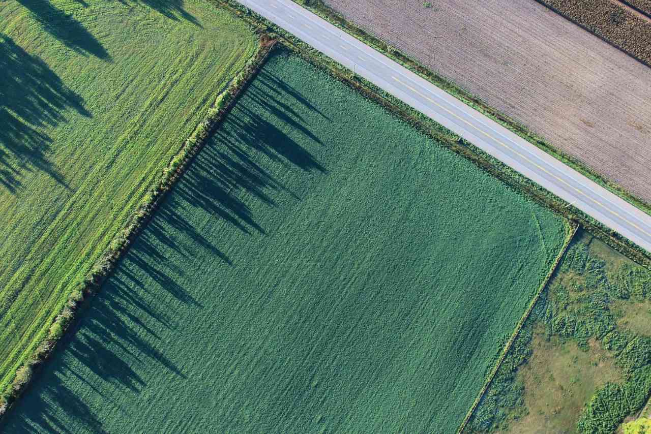 שמאי קרקע חקלאית