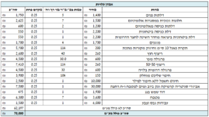 שמאי מקרקעין הערכת שיפוץ