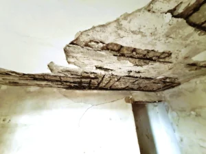 שמאי נזקי מים