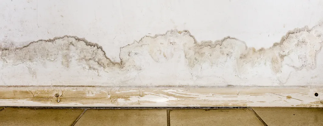 שמאי נזקי מים